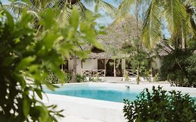 Joy Of Zanzibar